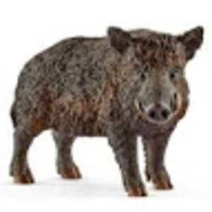 Meet your Posher, Keith